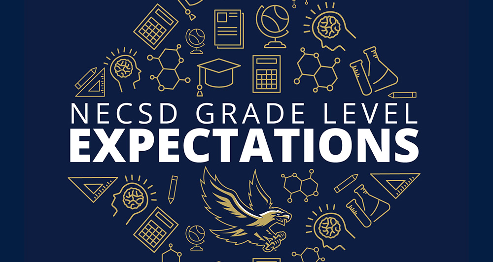 Grade Level Expectations